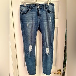 Judy Blue Distressed Skinny Jeans